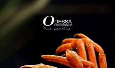  Odessa Poissonnier