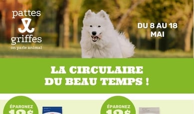  Pattes Et Griffes