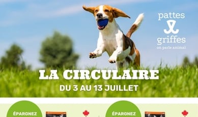  Pattes Et Griffes