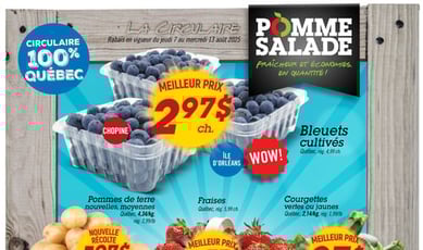  Pomme Salade