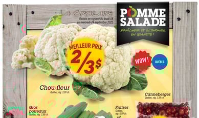 Pomme Salade