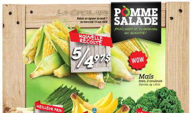  Pomme Salade