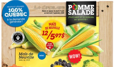 Pomme Salade