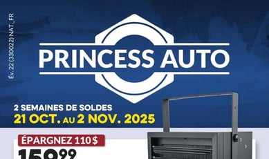  Princess Auto