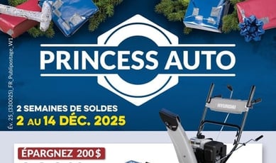  Princess Auto