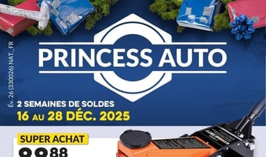  Princess Auto