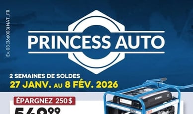  Princess Auto