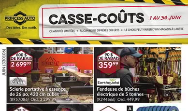  Princess Auto - Casse-Coûts