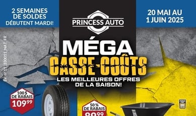  Princess Auto - Méga Casse-coûts