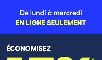  Rona - Vente éclair en ligne