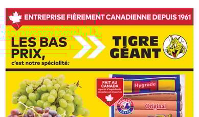  Tigre Géant
