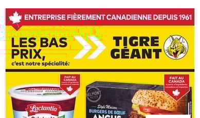  Tigre Géant