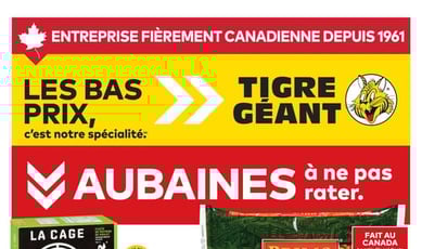  Tigre Géant