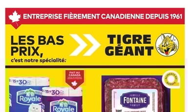  Tigre Géant