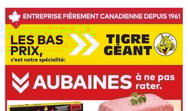  Tigre Géant
