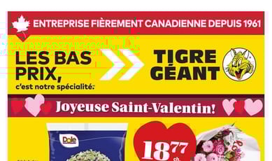  Tigre Géant