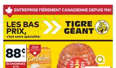  Tigre Géant