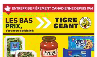  Tigre Géant