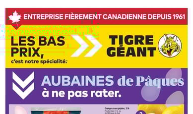 Tigre Géant