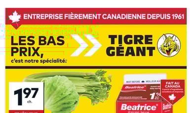  Tigre Géant