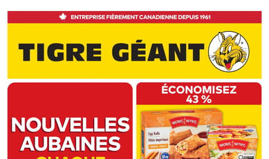 Tigre Géant du 21 au 27 octobre 2026