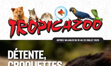  Tropicazoo