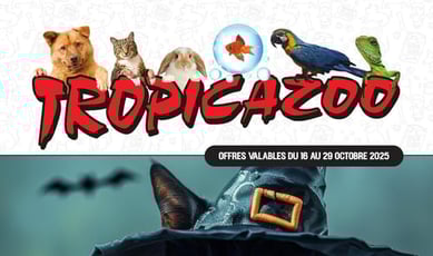  Tropicazoo