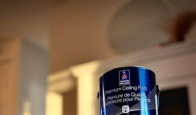 Gagnez un concours de peinture doté d'une récompense de 500 $ !
