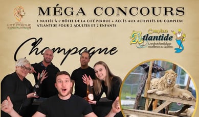 Concours 5ᵉ anniversaire Champagne - Artisan de Votre Expansion!