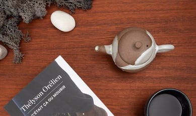 Participez au concours pour gagner un roman et un thé délicieux!