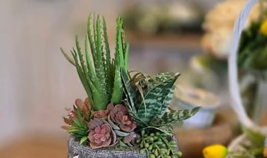 Participez pour remporter un somptueux ensemble Féérik d'une valeur de 200 dollars !