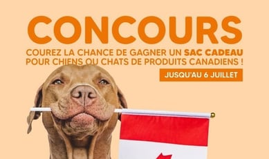 Participez pour remporter un élégant lot canadien pour chien ou chat!