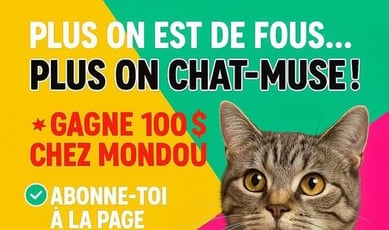 Participez au Concours Patrichats et remportez une carte cadeau MONDOU de 100 dollars !
