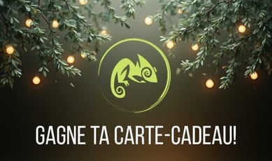 Concours ProNettoie – 300$ EN CARTES-CADEAUX À REMPORTER !