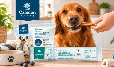 Échantillons gratuits de gâteries naturelles pour chiens Caledon Farms