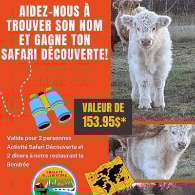 Concours Daaquam : gagnez un safari photo et un dîner exquis au restaurant La Bondrée !