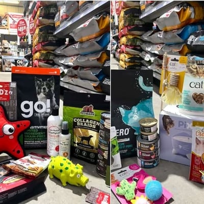 Participez pour remporter une récompense pour votre animal, gracieuseté de Paddock Animal & Co.