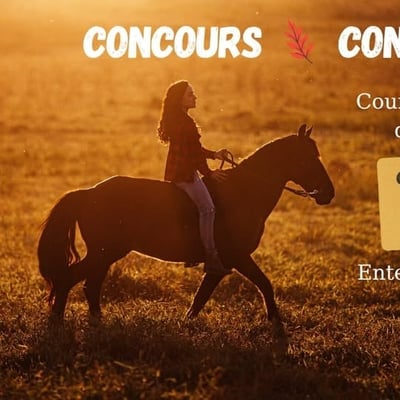 Participez pour remporter une carte-cadeau VISA d'une valeur de 150 $ !