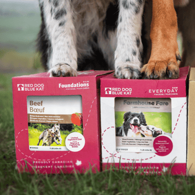 Recevez gracieusement un repas Red Dog Blue Kat complet de 1 livre.