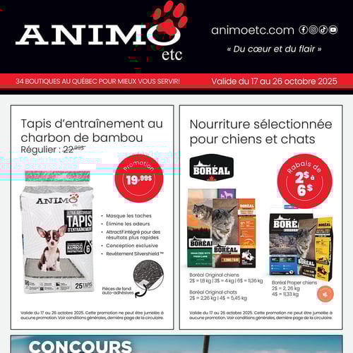  Animo etc