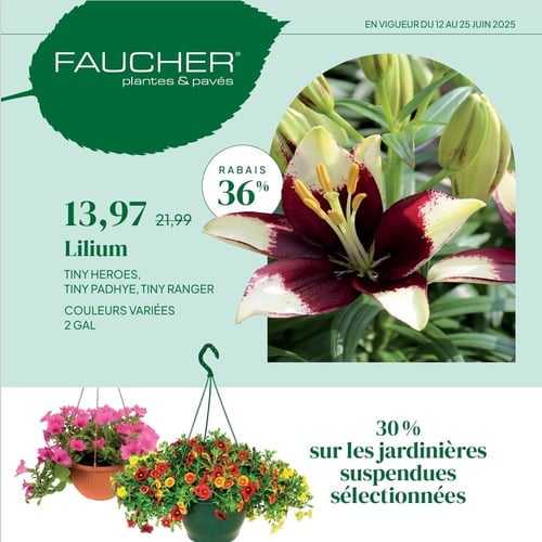 Faucher
