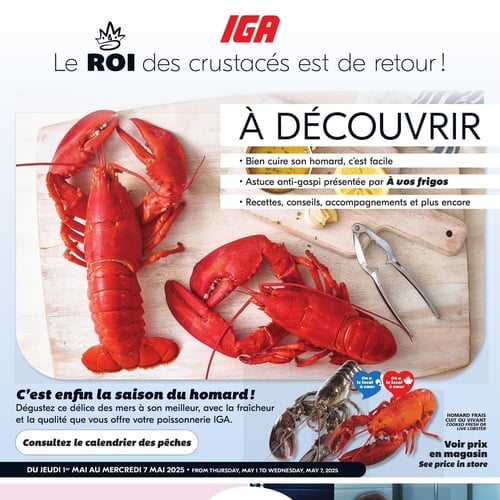  IGA - Homard