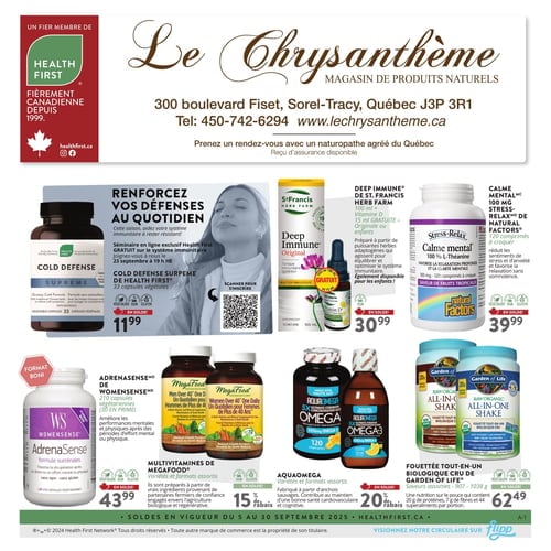  Le Chrysanthème