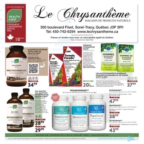  Le Chrysanthème