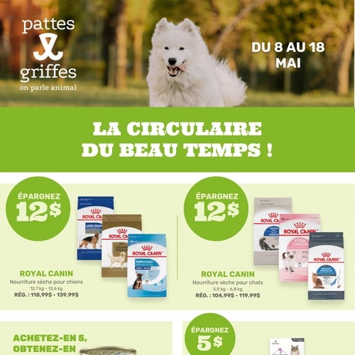  Pattes Et Griffes