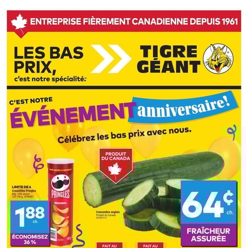  Tigre Géant