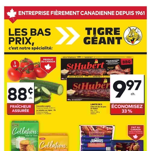  Tigre Géant