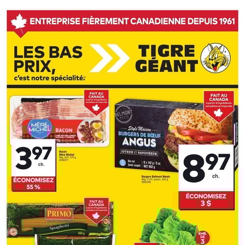  Tigre Géant
