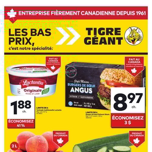 Tigre Géant