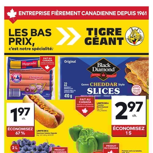  Tigre Géant